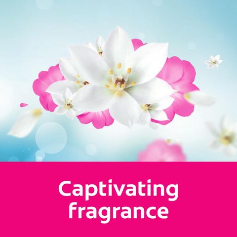 Softlan Fabric Conditioner Anti Wrinkles 3L