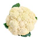Cauliflower China 0.6kg