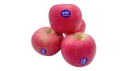China Fuji Apple XL 5pcs