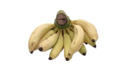 Rastali Banana 1kg