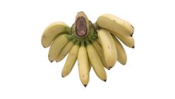 Mas Banana 1kg
