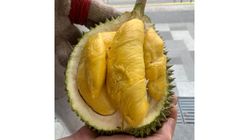 Musang King 猫山王 (1 Box) 400g