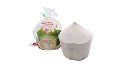 Thailand Coconut 1pc