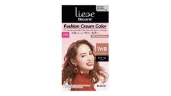 Liese Blaune Fashion Cream Color Warm Brown 1WB 108g
