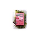 綜合沙拉盒(大盒)-冷藏 | 150 g
