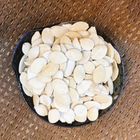 金龍肉乾-南門本舖 白瓜子(南瓜子) 230±10%g