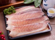 湯瑪仕肉 舖嚴選潮鯛魚排 500g±5%g