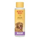 Burt's Bees 天然肌蜜 薰衣草茶花沐浴露 | 16oz