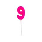 9歳生日蠟燭 | 1 支