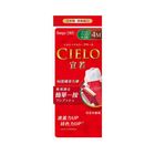 宣若EX染髮霜-摩卡棕 2 x 40g @12#4987205284694
