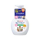 日本獅王趣淨洗手慕斯-清爽柑橘 | 250 ml @12#4903301176848