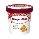 HaagenDazs哈根達斯 濃脆花生醬品脫杯 | 473 ml @15#3415587128196