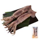 巨無霸魷魚2入裝 600g @21#4711481398307