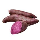 履歷紫心地瓜 600g @22#4714150488637