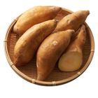 早安地瓜 (袋) -PDC 500g @22#4713108599302