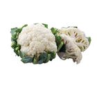 白花菜(每粒約 600g±10%) 1 入 @22#4718072091074