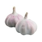 履歷蒜頭/袋 600g @22#2422030180015