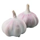 阿根廷蒜頭(袋)-PDC 300g @22#4713302242097