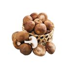 履歷香菇 150g/盒 @22#4713331921925