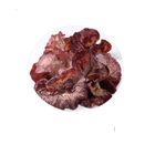 有機彥廷木耳 200g @22#4713327255867