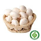 履歷洋菇 200g/盒 @22#4713331921796