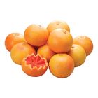 Imported South African Grapefruit 2 Pieces/bag 1 Bag @22#2422101004011