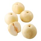 生鮮蔬果 新世紀梨(每盒 5-6 粒) 1.2kg±10% @22#2422121277013