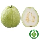 履歷珍珠芭樂(每袋2顆) 約 750g @22#2422172030018