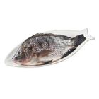 吳郭魚(大) 430g
