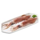 船凍透抽 230g