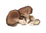 禾美-有機秀珍菇 | 120 g #4715691101320