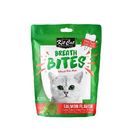 【Kit Cat】薄荷潔牙餅(鮭魚口味) | 60 g #20809867
