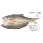 午仔魚一夜干(大) | 275 g #2005603800024