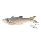 午仔魚(小) | 225 g #2005603800055