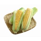 超甜玉米(袋)-冷藏 | 400 g #00010285