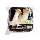 有機活株陶立克菇-冷藏 | 230 g #00050236