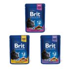 【Brit咘莉】優選貓咪餐包多汁肉塊-成貓(商品隨機出貨) | 100 g