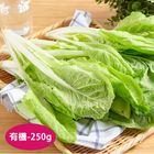 有機荷葉白菜 250g
