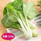 有機黑葉白菜 250g