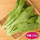 有機小芥菜 250g
