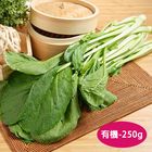 有機小松菜 250g