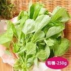 有機白莧菜 250g