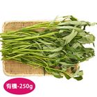 有機空心菜 250g