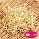 黃豆芽-安心 270g