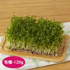 有機青花椰芽 120g