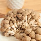 有機鴻喜菇 180g