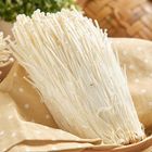 有機金針菇 200g