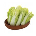 越南娃娃菜 | 200g #1086099
