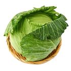 高麗菜 1kg #1163559