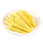 泰國玉米筍 100g #19505
